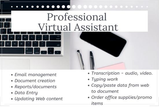 I will provide professional virtual assistant services to you