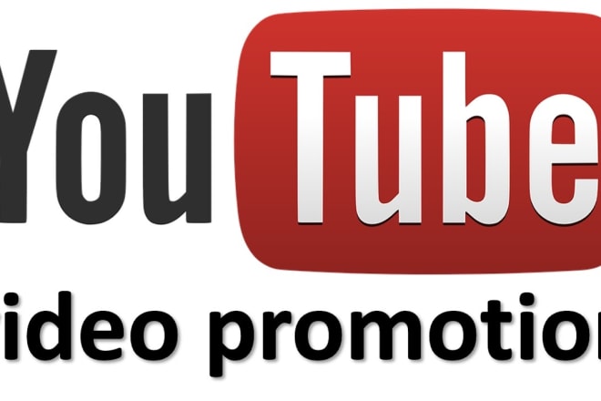 I will provide youtube promotional help