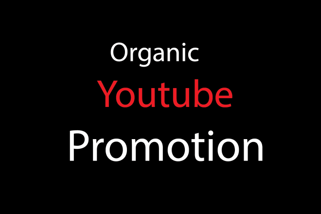 I will real youtube promotion for your videos