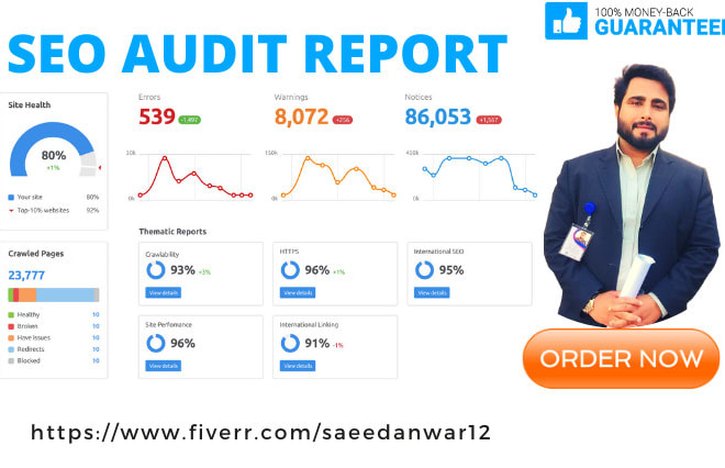 I will seo audit, expert audit report and complete action plan for higher rankings