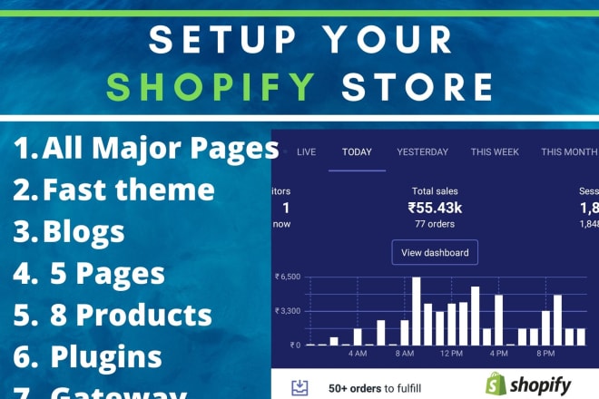 I will setup dropshipping or ecommerce shopify store