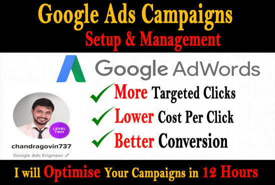 I will setup, optimize and manage google adwords ppc campaign, ads expert management