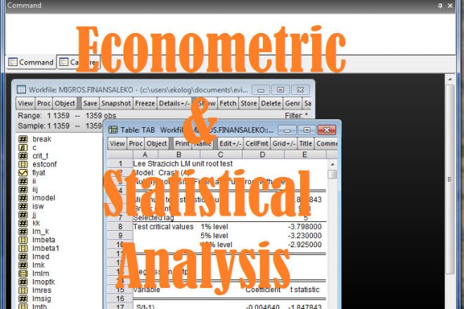 I will statistical and econometric analysis