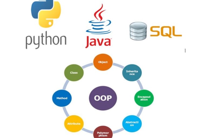 I will teach you python, java, oops, sql as online tutor of yours in 1 day