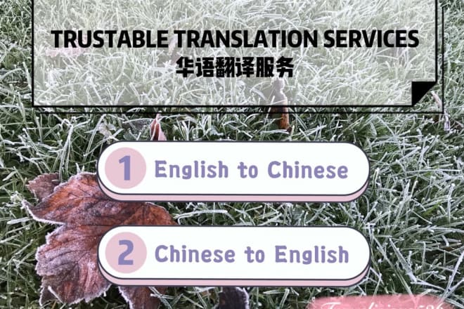 I will translate from english to chinese and vice versa