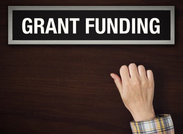 I will write a professional grant proposal for your nonprofit organization