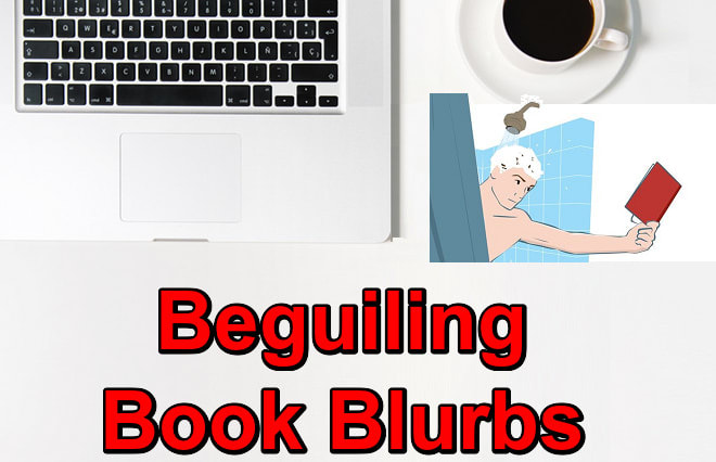 I will write or rewrite your book blurb to hook more readers