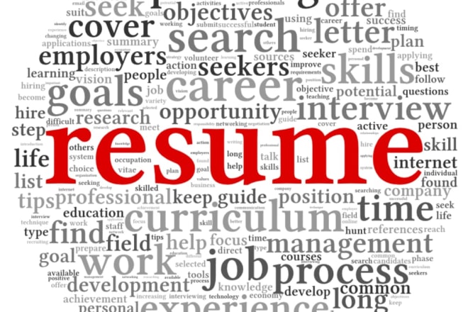 I will write your professional resume writing services