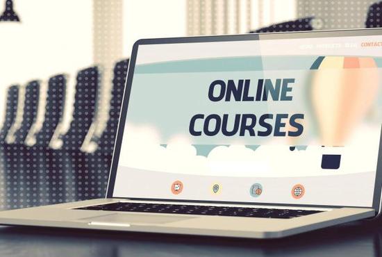 I will assist in online lessons, class and course professionally