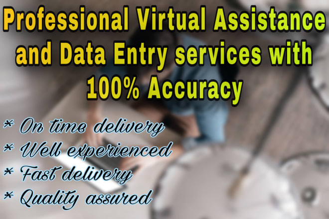 I will be your best virtual assistant for data entry work