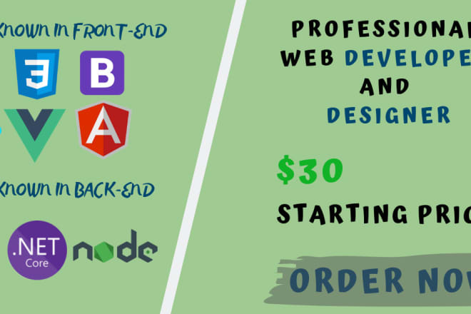 I will be your professional web developer and designer