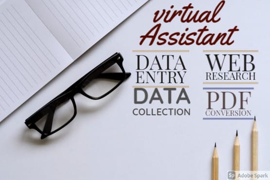 I will be your virtual assistant for data entry work