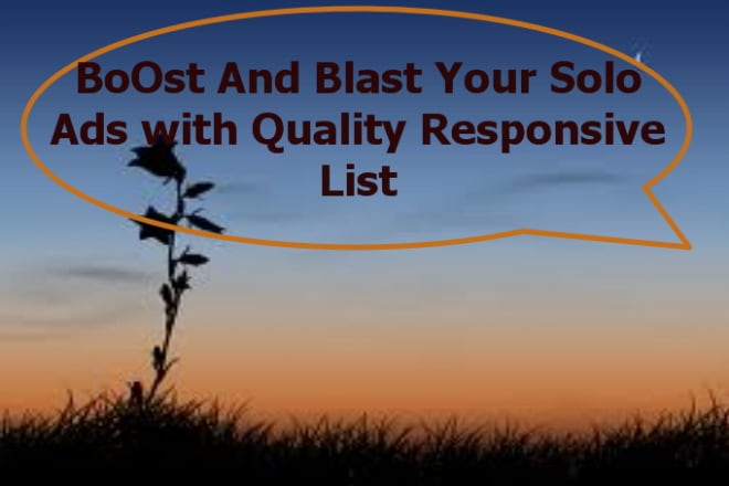 I will boOst And Blast Your Solo Ads with Quality Responsive List