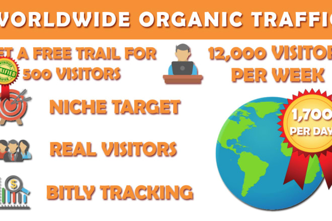 I will bring organic web traffic