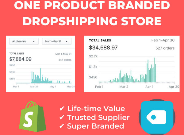 I will build branded one product shopify dropshipping store