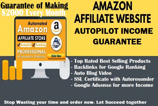 I will build fast income amazon affiliate website with best selling products