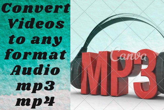 I will convert video files to mp3, mp4, avi, wav or any format