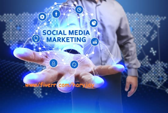 I will create a huge social media marketing for business