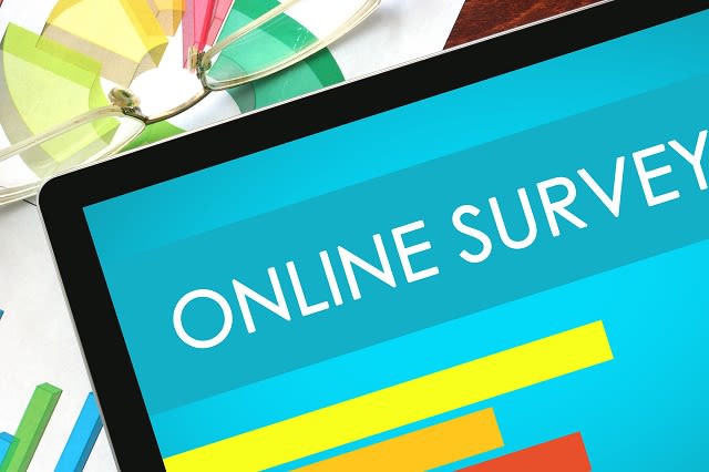 I will create an online survey for your business