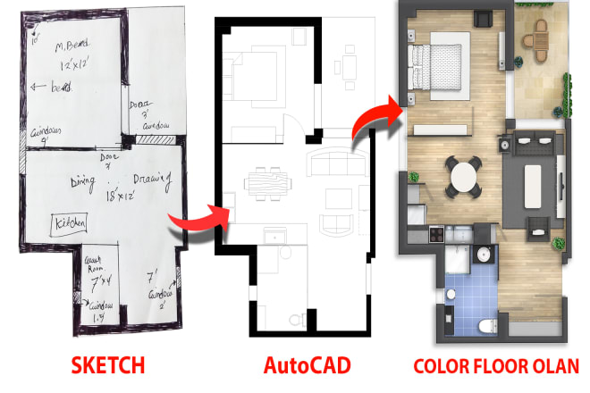 I will create colored plan, real estate floor plan, house plan, etc