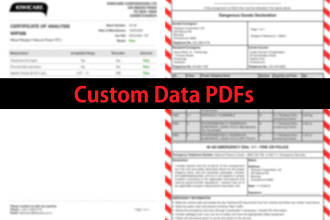 I will create netsuite pdfs with custom data sources