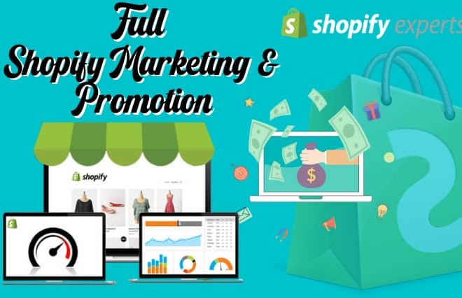 I will create shopify store, etsy ebay shop and shopify sales marketing traffic