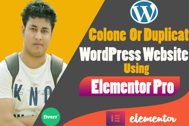 I will design wordpress website by using elementor pro page builder