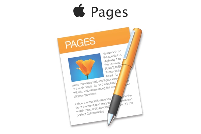 I will design your document in apple pages, mac iwork