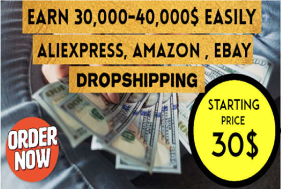 I will develop awesome professional dropshipping store for your business