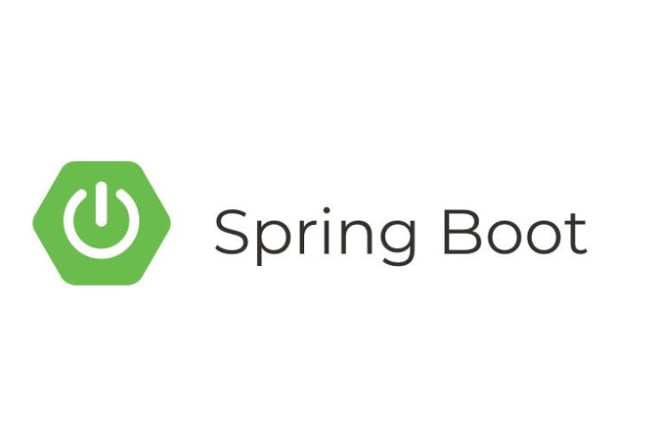 I will develop java, spring boot, and projects