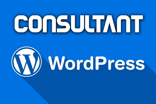 I will do 30 min wordpress consultancy