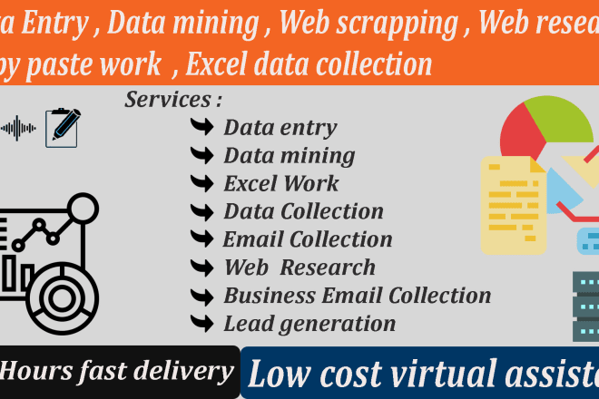 I will do accurate data entry, data mining, web scraping, copy paste work, excel work