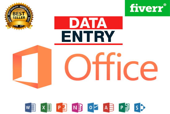 I will do any type of data entry work