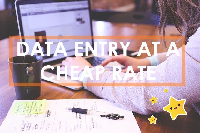 I will do cheap data entry