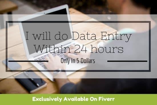 I will do data entry, copy paste, web research and excel data entry