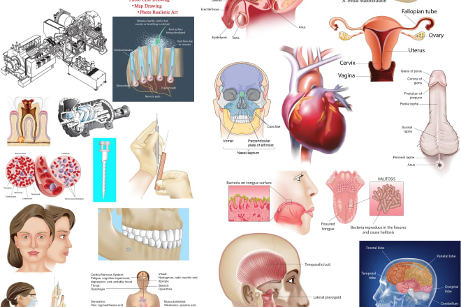 I will do medical, scientific and biology illustrations for you