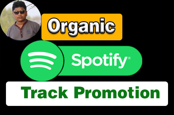 I will do organic promotion of your spotify song