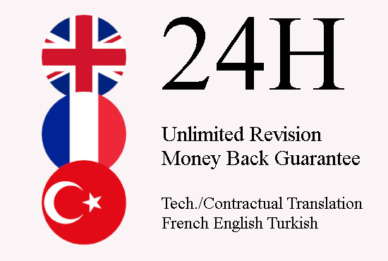 I will do pro translation french english turkish