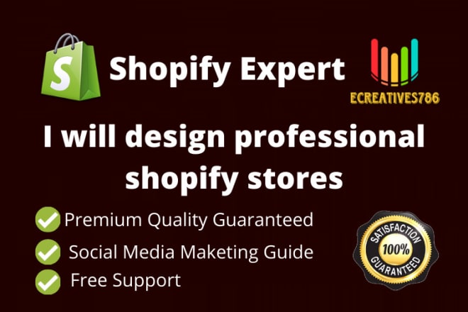 I will do shopify dropshiping, print on demand website which converts