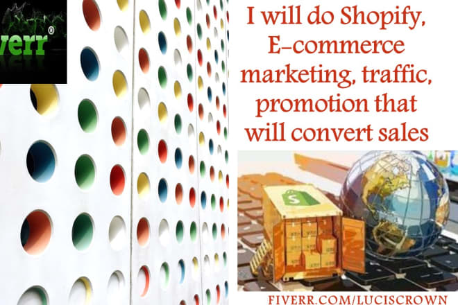 I will do shopify, marketing,promotion,traffic,seo that will convert to sale