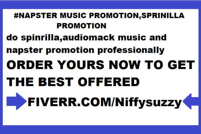 I will do spinrilla,audiomack music with napster promotion professionally