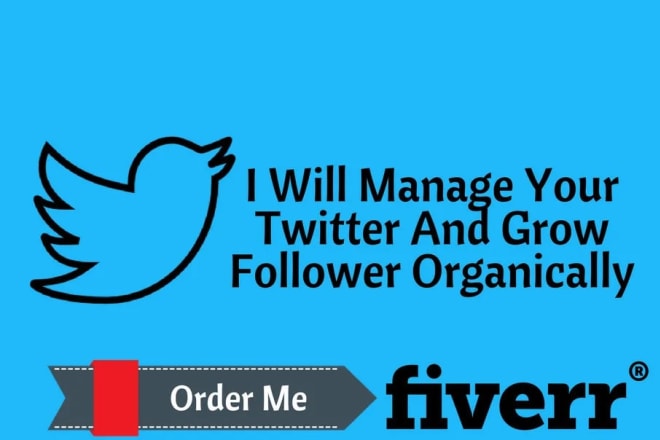 I will do twitter marketing and promotion get organic followers