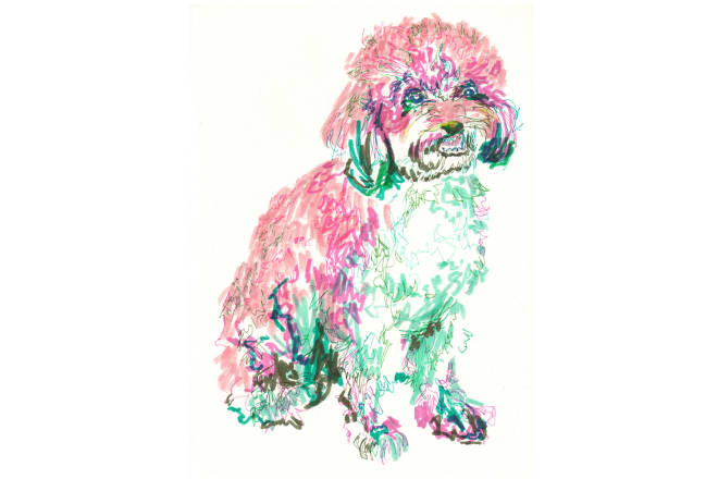 I will draw a colorful custom hand drawn pet, cat or dog portrait