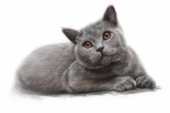 I will draw realistic portrait of your cat, dog or any pet