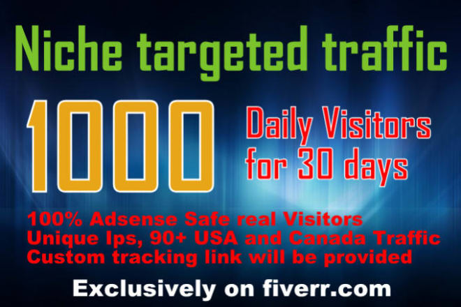 I will drive 30,000 niche targeted US website,traffic,visitors