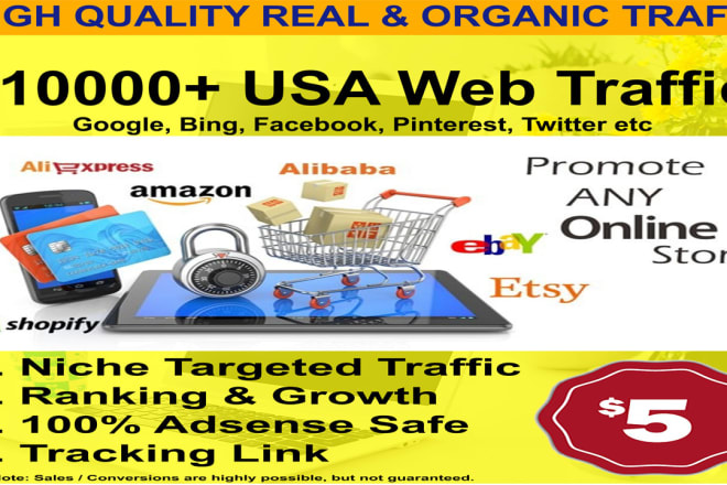 I will drive niche related targeted traffic to your ebay, amazon, shopify stores