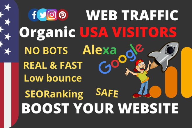 I will drive real organic USA web traffic to your website