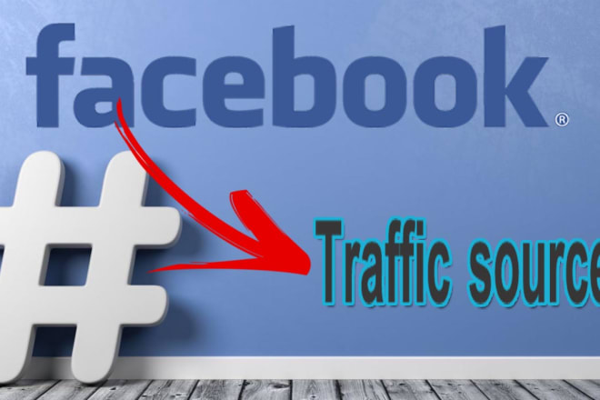 I will drive traffic hits from facebook to your website for 30 days