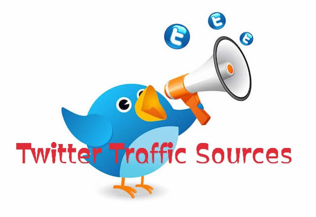 I will drive traffic hits from twitter to your website for 30 days