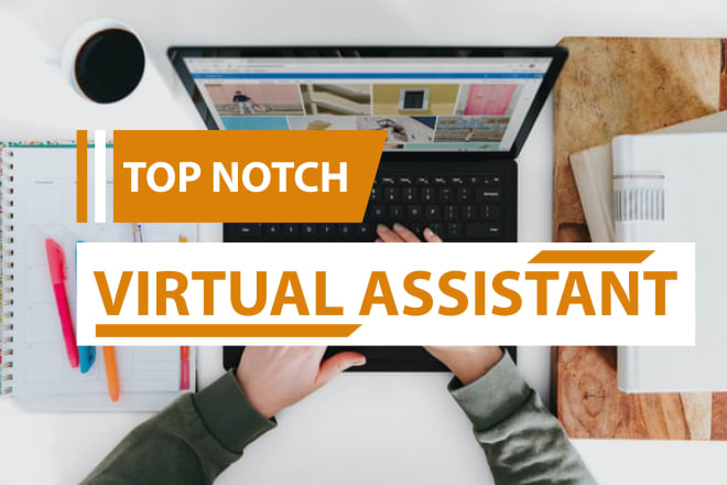 I will e your professional virtual assistant
